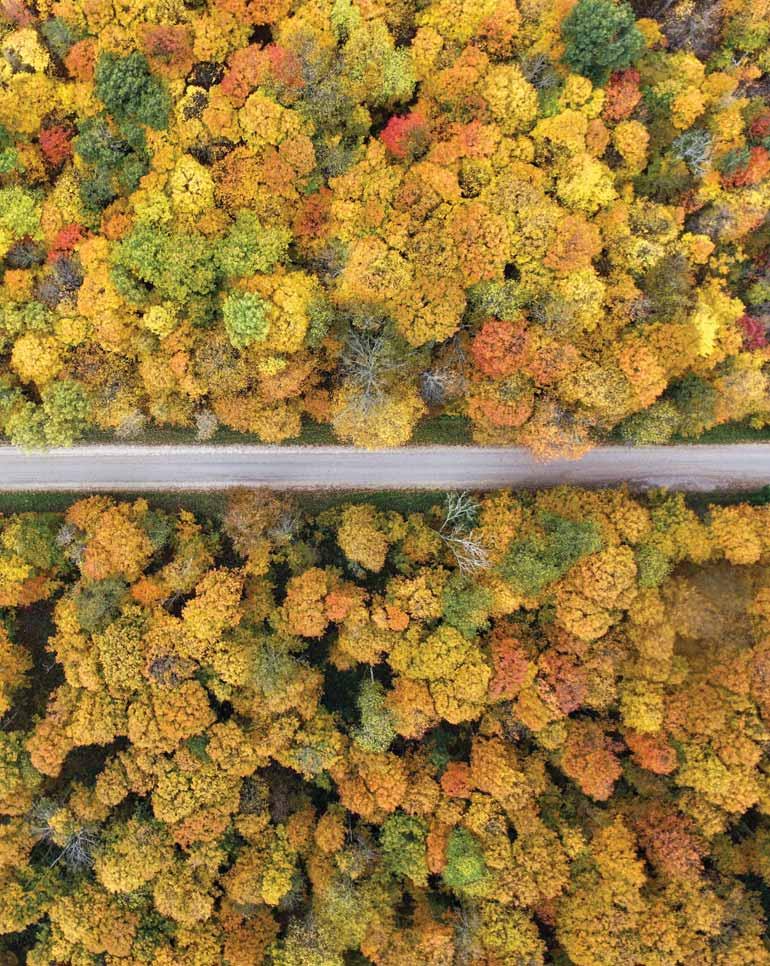 CSOMAGAJÁNLATOK 2019-BEN Agility+Alliance Az Agility+Alliance széles hatásspektrumú gyomirtószerkombináció az őszi búza és az őszi árpa őszi gyomirtására.