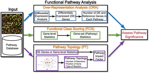 Figure 1. Overview of existing pathway analysis methods using gene expression data as an example.