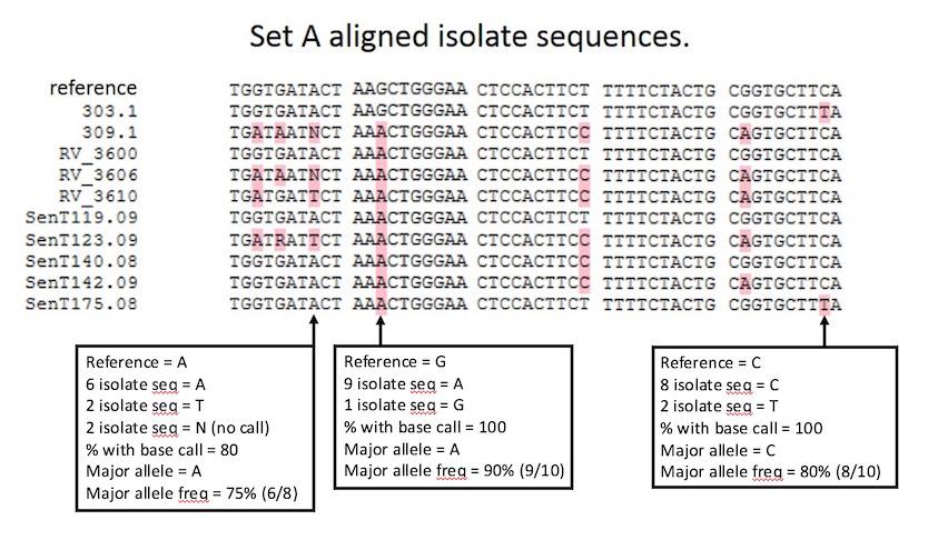 30,000 ft View- NGS SNPs Single Nucleotide Polymophisms Reference NGS