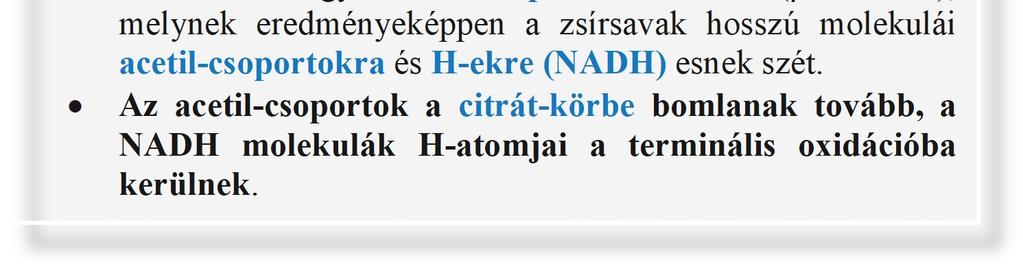 Átlagos 7Okg súlyú egyén energiaraktára a következőkből épül fel: neutrális zsírok 42OOOO KJ fehérje (izom) 1O5OOO KJ glikogén 25OO KJ glükóz 168 KJ A testsúly kb. 16%-át adják a zsírok.