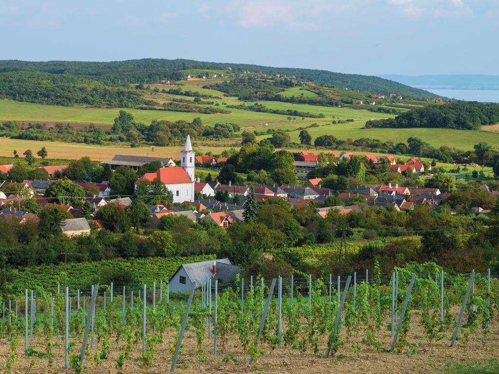 HASZNÁLAT SÖTÉT VAGY SZÍNES HÁTTÉREN Az embléma alkalmazása során törekedni kell az elsődlegesen ajánlott megjelenés kialakítására.