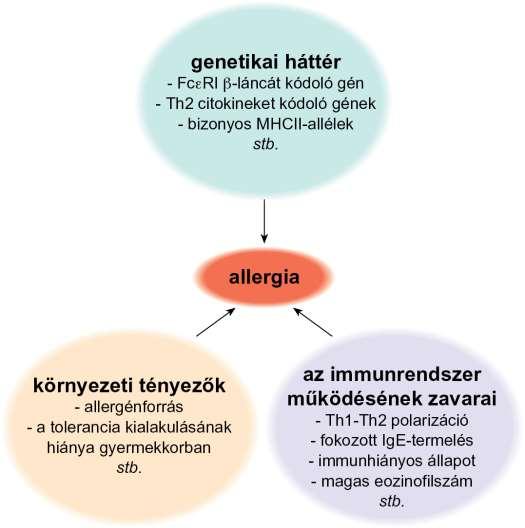 18.1. ábra Az allergia multifaktoriális kórkép