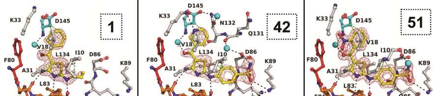 Figure S5: Crystallography of representative CDK2-inhibitor complexes.