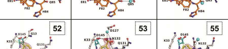 in which the inhibitor was omitted from the model.