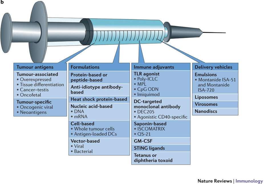 Tumorellenes vakcina összetétele 4 fő komponens: tumorantigének, a készítmény, adjuvánsok, szállító-eszközök Röv.