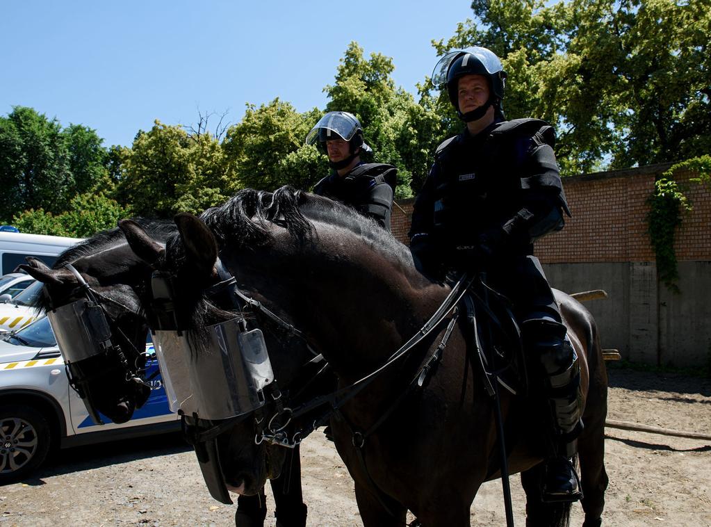 Külföldön is bizonyít A lovas alosztály vezetője lapunknak elmondta, az általuk használt lófajtáknak meghatározott marmagasságot kell elérniük, emellett több egyéb fizikai, illetve idegrendszeri