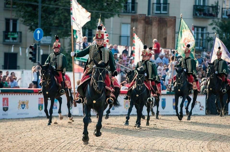 ezek az állatok, noha bizonyos tulajdonságaikat tekintve kiemelkedők, az egyéb kritériumoknak nem felelnek meg.