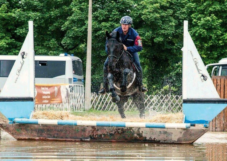 (x) Szerző: Szőcs Attila Közzététel ideje: 2019. 07. 16.