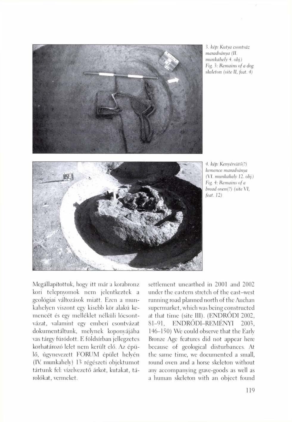 3. kép: Kutya csontváz maradványa (li. munkahely 4. obj.) Fig. 3: Remains of a dog skeleton (site II, feat. 4) 4. kép: Kenyérsütő(?) kemence maradványa (VI. munkahely 12. obj.) Fig. 4: Remains of a bread oven(?