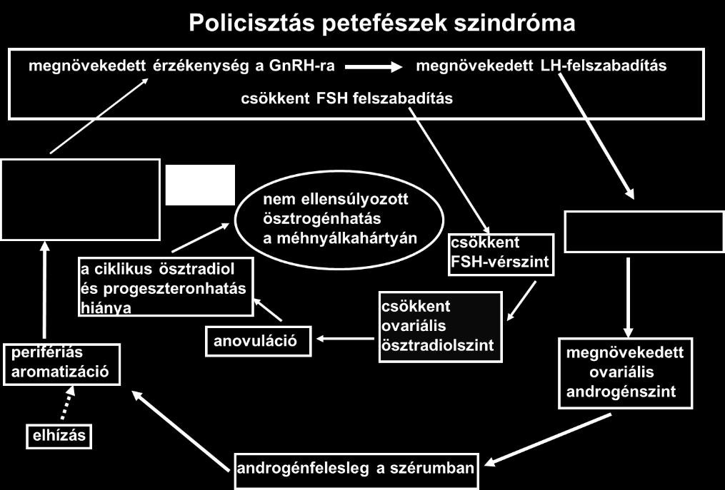 A policisztás ovarium szindróma (pcos) és az inzulinrezisztencia (ir) egymással társuló 7 felfokozott emelkedése is hozzájárul a PCOS-ás betegek eseteiben a vetélés jól dokumentált, de nem igazán jól