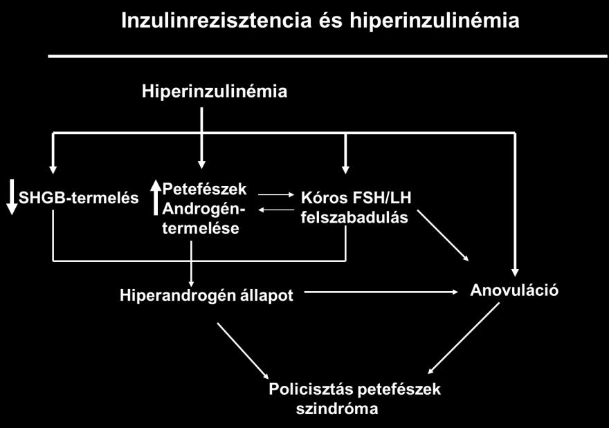 10 Fülöp Vilmos Demeter János mellitust, ami mintegy háromszorosa az átlagos populációnak. Az IR patogenezise még mindig nem teljesen tisztázott.