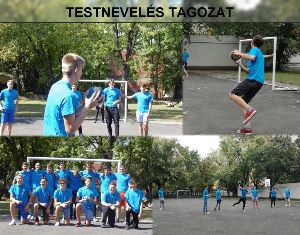 TESTNEVELÉS TAGOZAT (kódszáma 0004) A testnevelés tagozat képzési célja, hogy a tanulók gimnáziumi tanulmányaira építve, azt kiegészítve az élsport közvetlen utánpótlására alkalmassá váljanak.