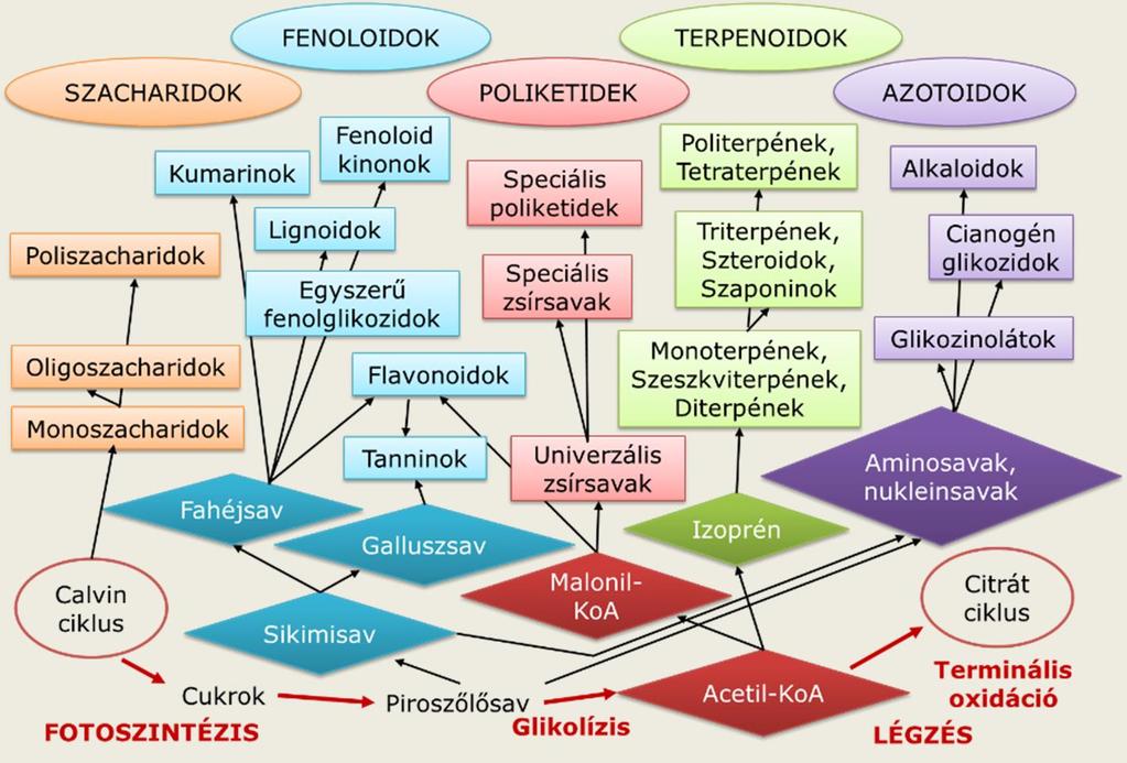 BIOGENETIKAI