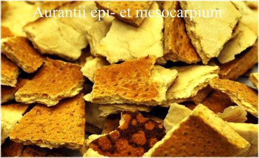Aurantii amari epicarpium et mesocarpium Felhasználás: tinktúra/ forrázat étvágytalanság emésztési zavarok ízjavítás fogyókúra szinefrin