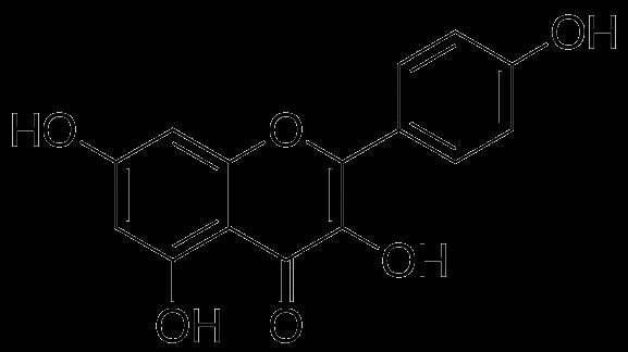 Flavonoidok: - rutin 2-3% - kvercetin - kvercitrin - kempferol -