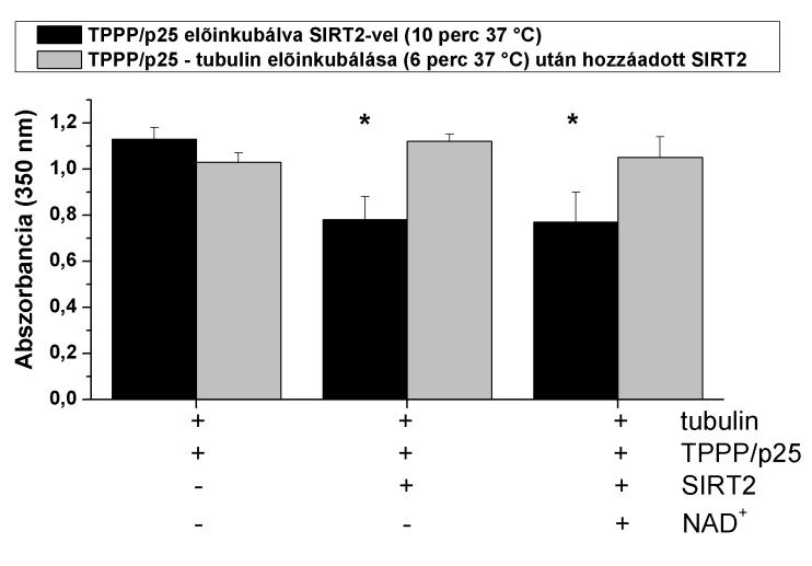 31. ábra: A SIRT2 hatása a TPPP/p25 által indukált tubulinpolimerizációra, turbiditásméréssel követve.