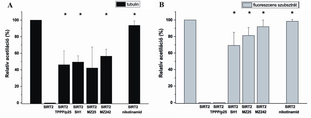 III. SIRT2 inhibitorok A tubulin acetiláció a mikrotubuláris dinamika befolyásolása révén fontos szerepet játszik különféle élettani folyamatokban, mint például a sejtek differenciálódásában,