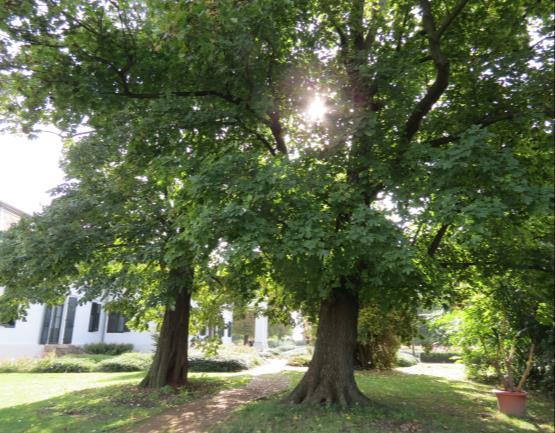 A Szedresi Ős-Sárvíz egy része érinti a települést, amely Natura 2000 nemzetközi védelem alatt áll és a Dél Mezőföld Tájvédelmi