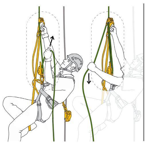 4.3 Kötélen felmászás Előfordulhat olyan szituáció, hogy a társunk által előre rögzített kötélen kell felmásznunk. Ezt a műveletet is két kötél segítségével oldjuk meg.