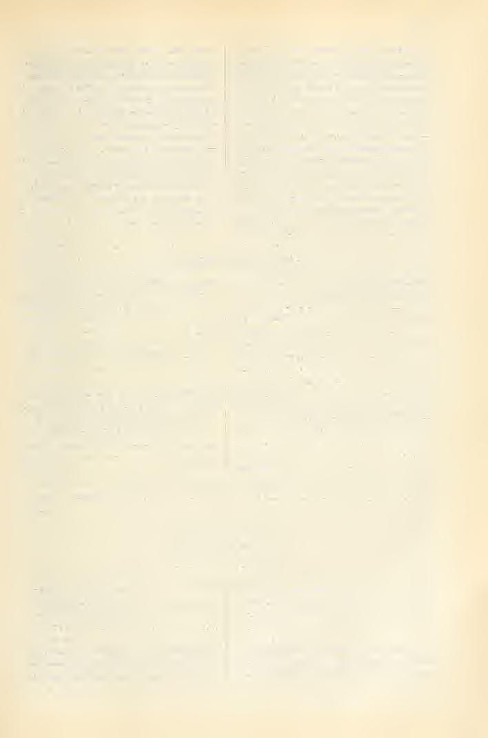 Iharnsherénii, 201 IK 5. Hulm-HiÁlús, lílol. IV. \). Clenniis (1). Clirysonicla staphylea Linn. (1). 19. 1 17. 1 1905. I Y. II. Agriotes liiieatiis Linn, larva (1) 20. [iy. IlKirosherény, 1905. IV. 11.