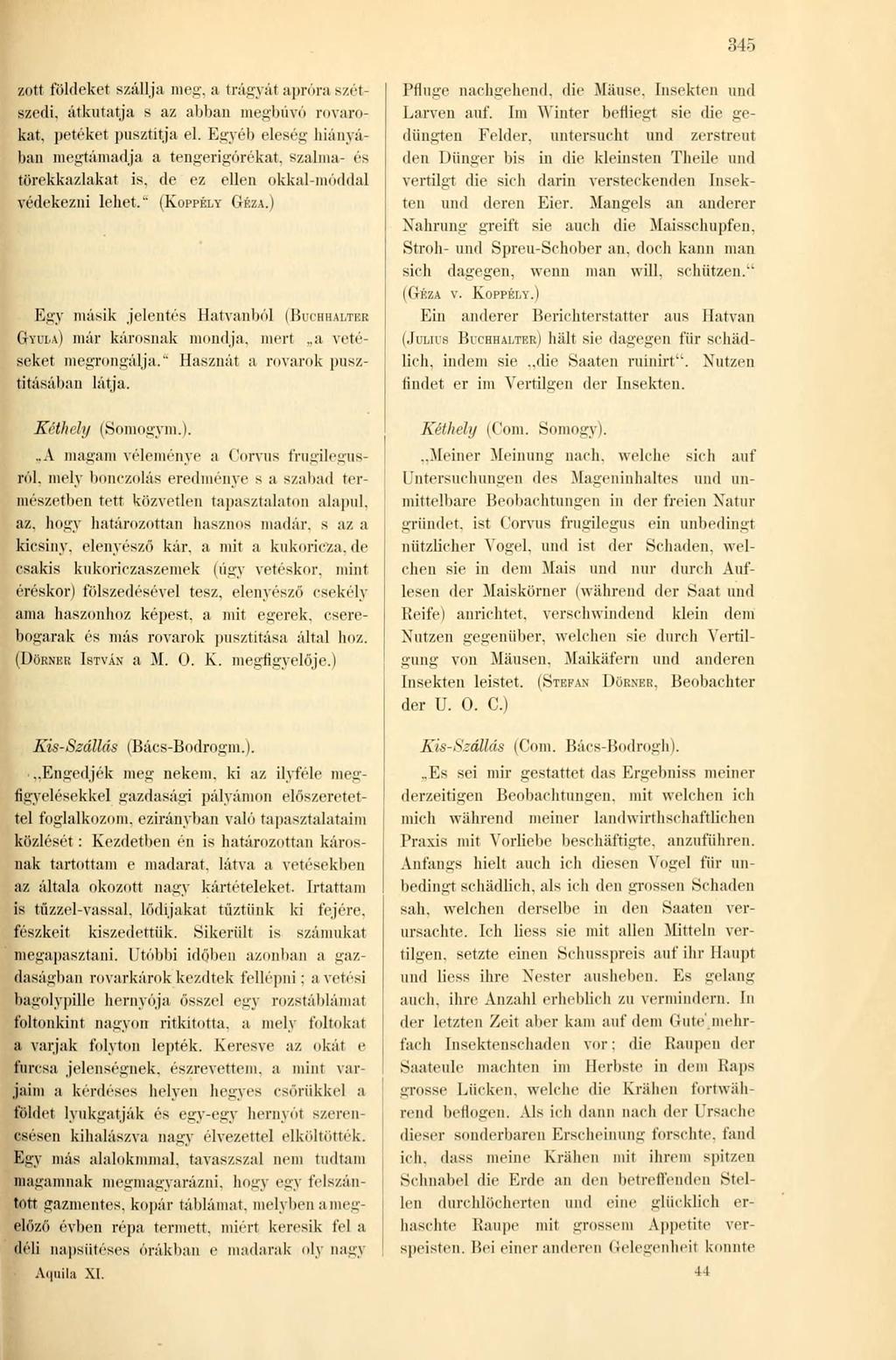 ír, /.ott földeket szállja meg', a trágyát apróra szétszedi, átkutatja s az abban megbúvó rovarokat, petéket pusztítja el. Egyéb eleség hiányában megtámadja a tengerigórékat.