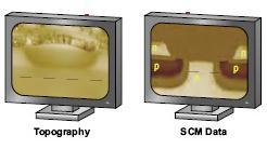 Microscopy (EFM) Chemical Force Microscopy (CFM) Magnetic Force