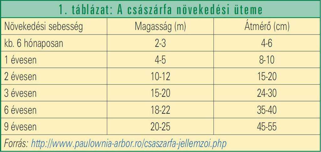 amit még a legszárazabb időszakban is hetente egy-két alkalommal történő öntözéssel kell biztosítani. Igényli a közvetlen napfényt, árnyékos helyen lassabban növekszik.