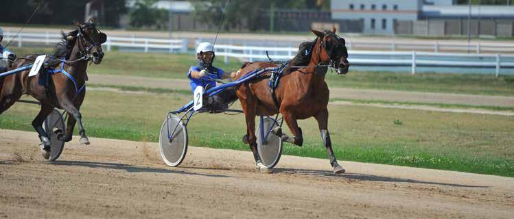 10 Universal Boy 1800 m Gyolai Zoltán am. (9,1-1) (Fekete, arany csillagok) 5 stpm Maximus Lindy - Golden Lady / Endless Sands Papp István Istálló: Mi-Zo II. i. 25.6 19.2-384800 Ft Élet stat.