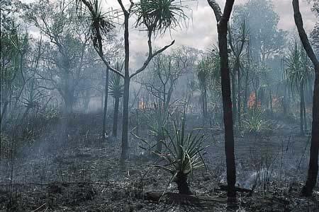 1997-98 98-as El Niño Indonéz z szigetvilágban gban