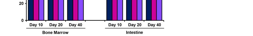 (C) Number of H2AX-positive cells in adult tissues 10 days following initiation of TAM treatment. n= 3-5 mice and >10 images (200x) per tissue were quantified.