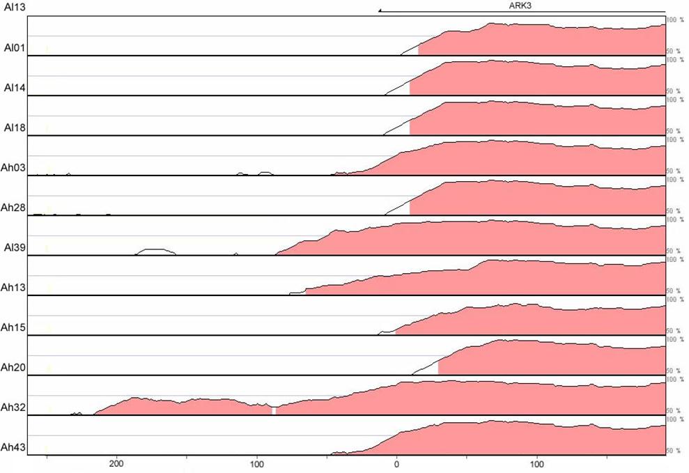 A. lyrata genome) and each of the other haplotypes.