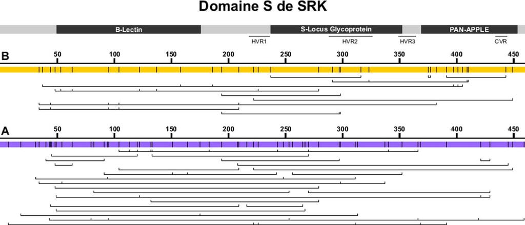Figure supplémentaire 11.