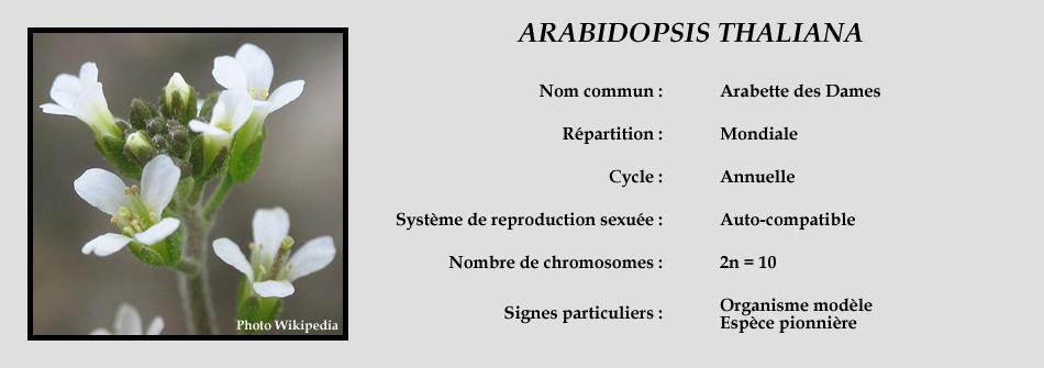 Encadré 5.