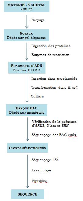 Encadré 7.