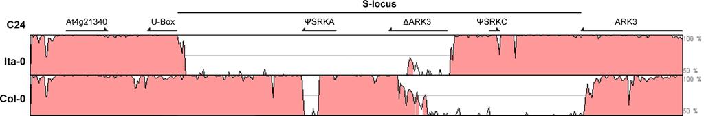 Figure 10.