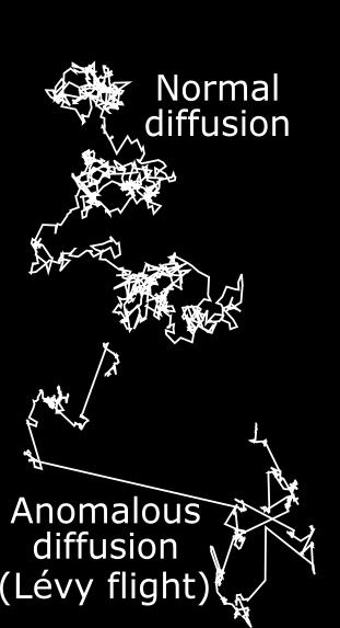 Csanád et al., Braz. J. Phys. 37, 100 (007) Táguló közeg növekvő átlagos szabadúthossz Lévyeloszlás (általánosított cent. hat.