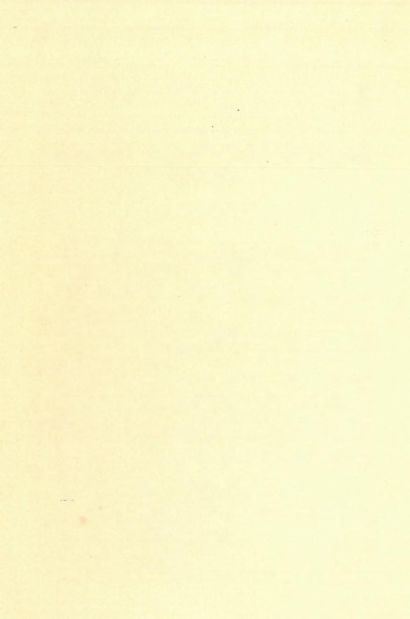 2, Földtan-bányászati jegyzetek az 1900. évi párisi nemzetközi kiállításról. GbSELL SÁNDOB-tÓl. Az 1900.