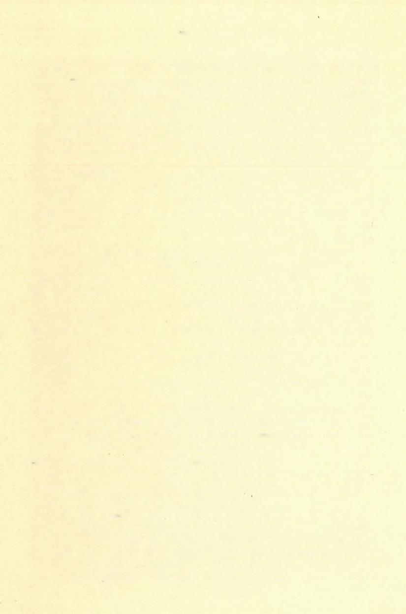 166 (te S E L L SÁN DOR (3) és átvizsgálni beérkezett jelentéseiket. A földtani bizottság meg lévén győződve, hogy ezen kutató munkálatok csak irányt adni hivatvák, meghagyta.