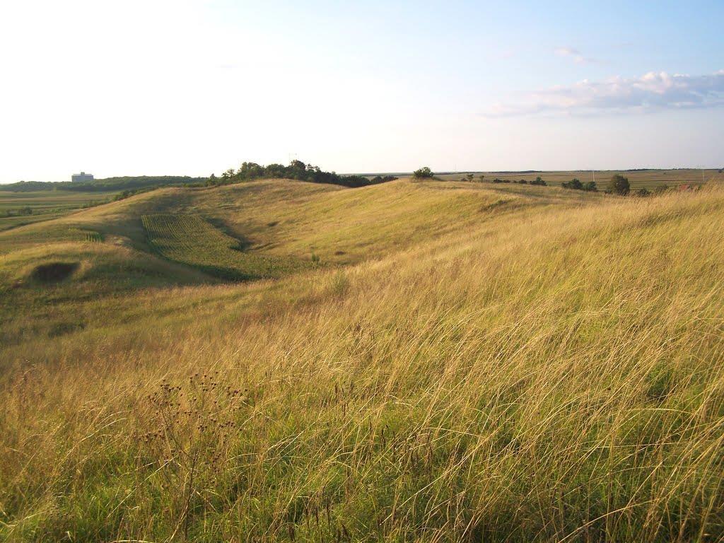 TÁJTÖRTÉNET A