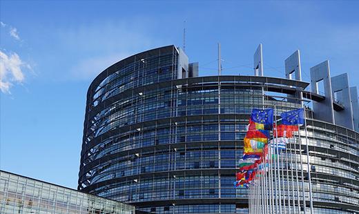 2019. évi Európai Parlamenti képviselők választása