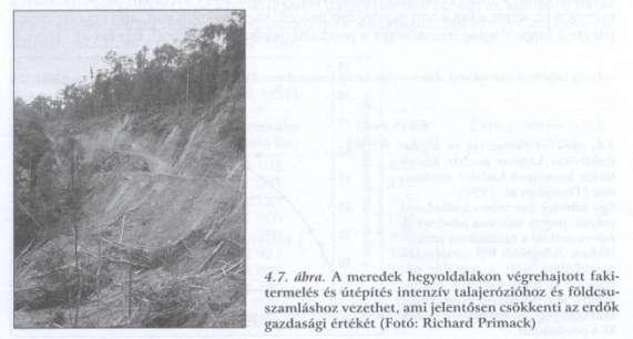 érték -