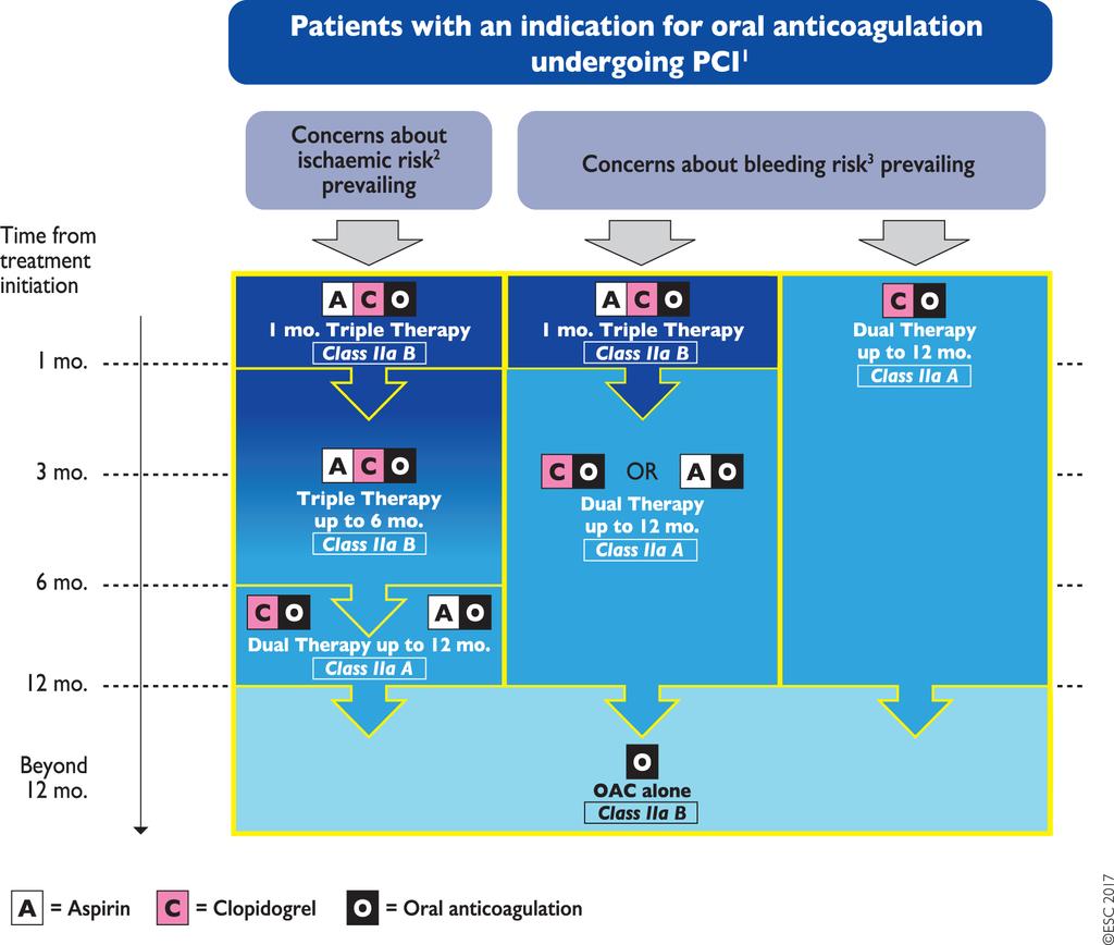 M. Valgimigli et al. Eur Heart J, 39, 213, 2018. DAPT + OAC PCI után 1: Periprocedural administration of aspirin and clopidogrel during PCI is recommended irrespective of the treatment strategy.