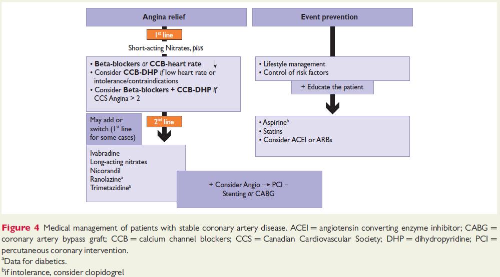 A stabil CAD gyógyszeres kezelésének algoritmusa (ESC) G.