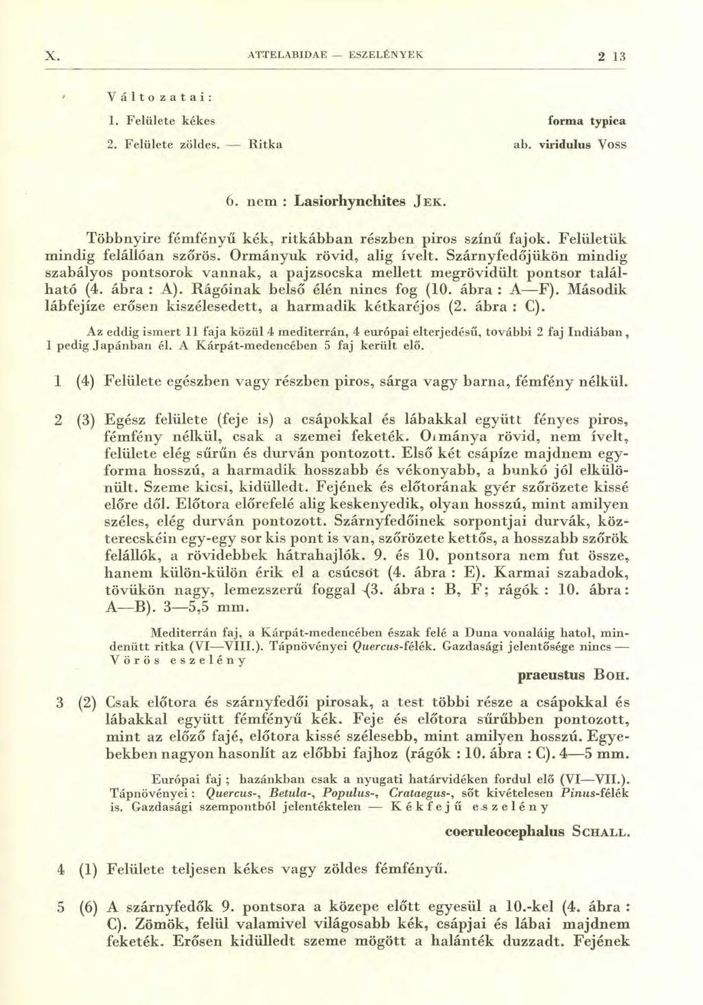 X. ATTELABIDAE - ESZELÉNYEK 2 13 Változatai: 1. Felülete kékes forma typica 2. Felülete zöldes. Ritka ab. viridulus Voss 6. nem : Lasiorhynchites JEK.