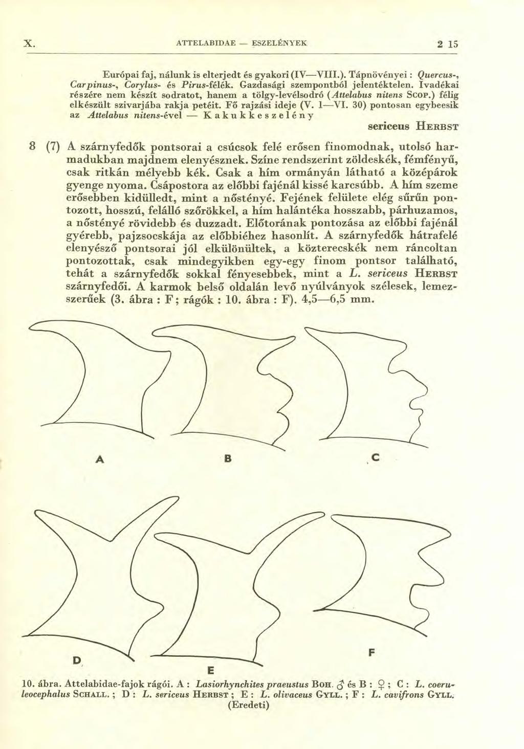 X. ATTELABIDAE - ESZELÉNYEK 2 15 Európai faj, nálunk is elterjedt és gyakori (IV VIII.). Tápnövényei : Quercus-, Car pinus-, Corylus- és Pirus-félék. Gazdasági szempontból jelentéktelen.