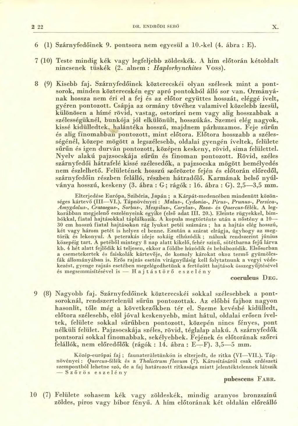 2 22 DR. ENDRŐDI SEBŐ X. 6 (1) Szárnyfedőinek 9. pontsora nem egyesül a 10.-kel (4. ábra : E). 7 (10) Teste mindig kék vagy legfeljebb zöldeskék. A hím előtorán kétoldalt nincsenek tüskék (2.