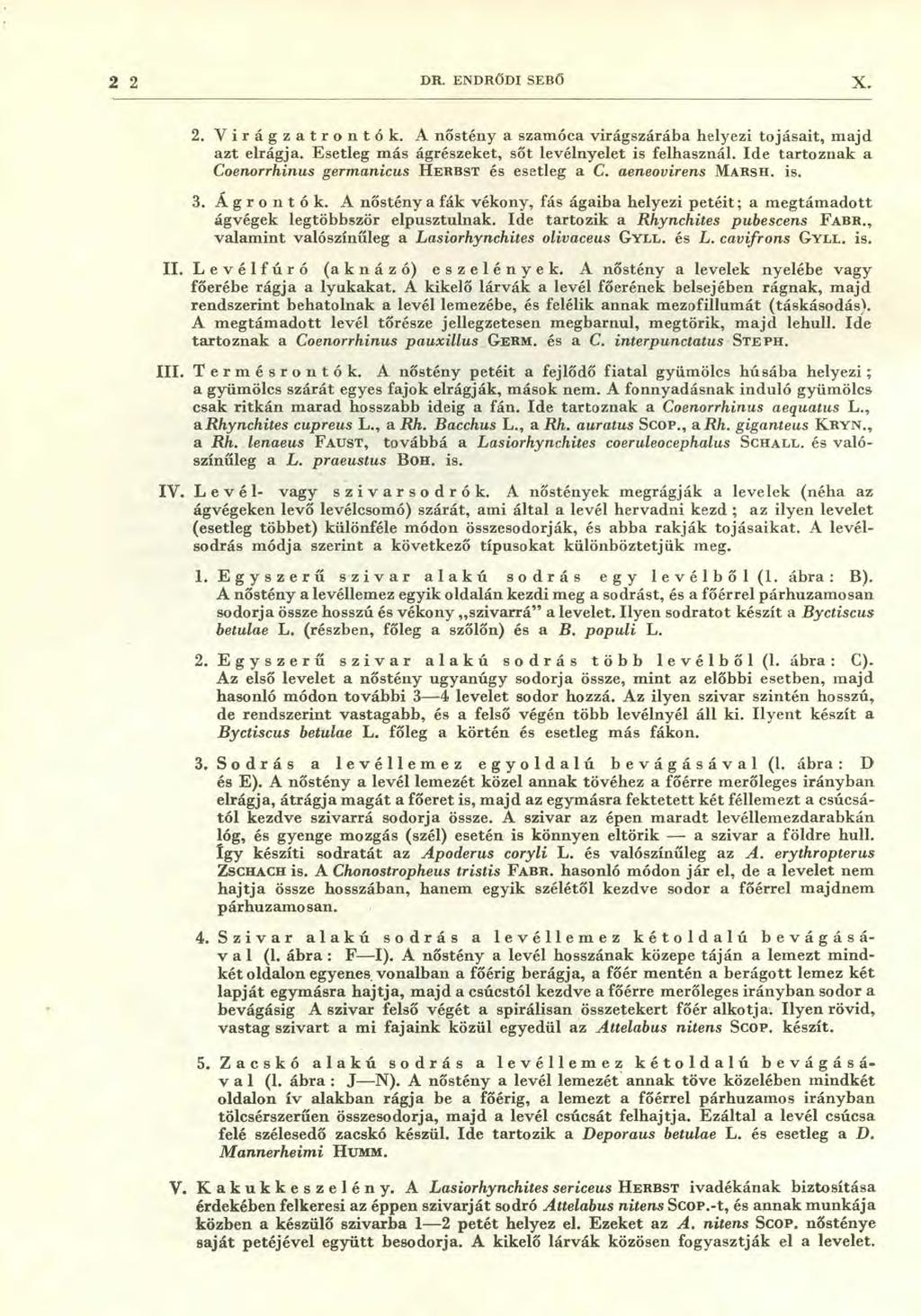 2 2 DR. ENDRŐDI SEBŐ X. 2. V i r ág z a t rontó k. A nőstény a szamóca virágszárába helyezi tojásait, majd azt elrágja. Esetleg más ágrészeket, sőt levélnyelet is felhasznál.