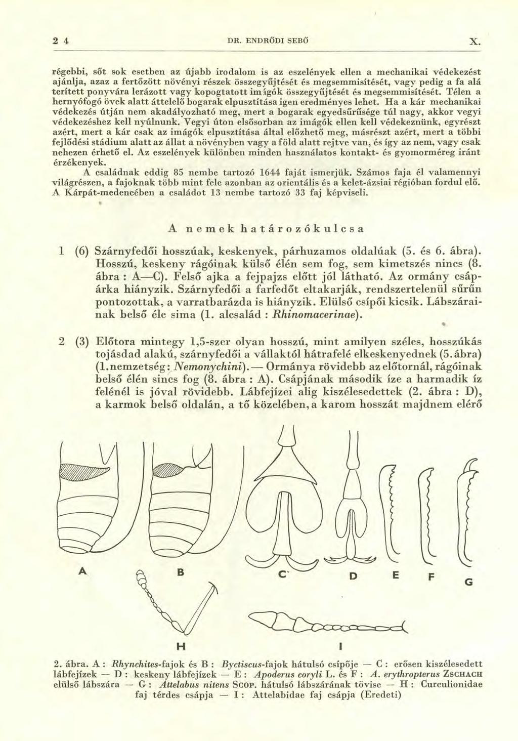 2 4 DR. ENDRŐDI SEBŐ X.