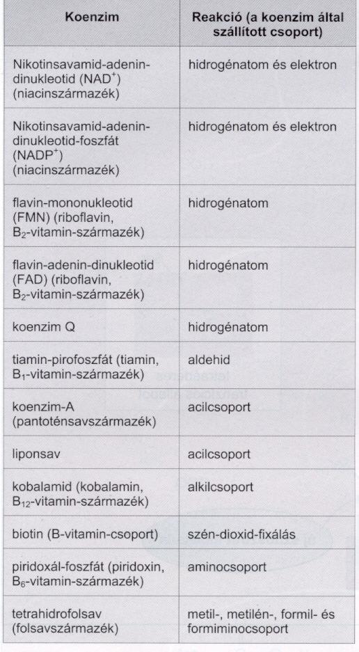 igényelnek. - fémionok - szerves molekulák kovalens kötődéssel pl.