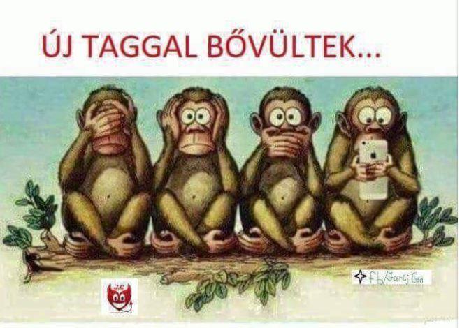 Új